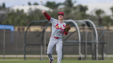 The Mets signed infielder Jared Young to a one-year split contract on Monday.Young, 29, split the 2024 season with the