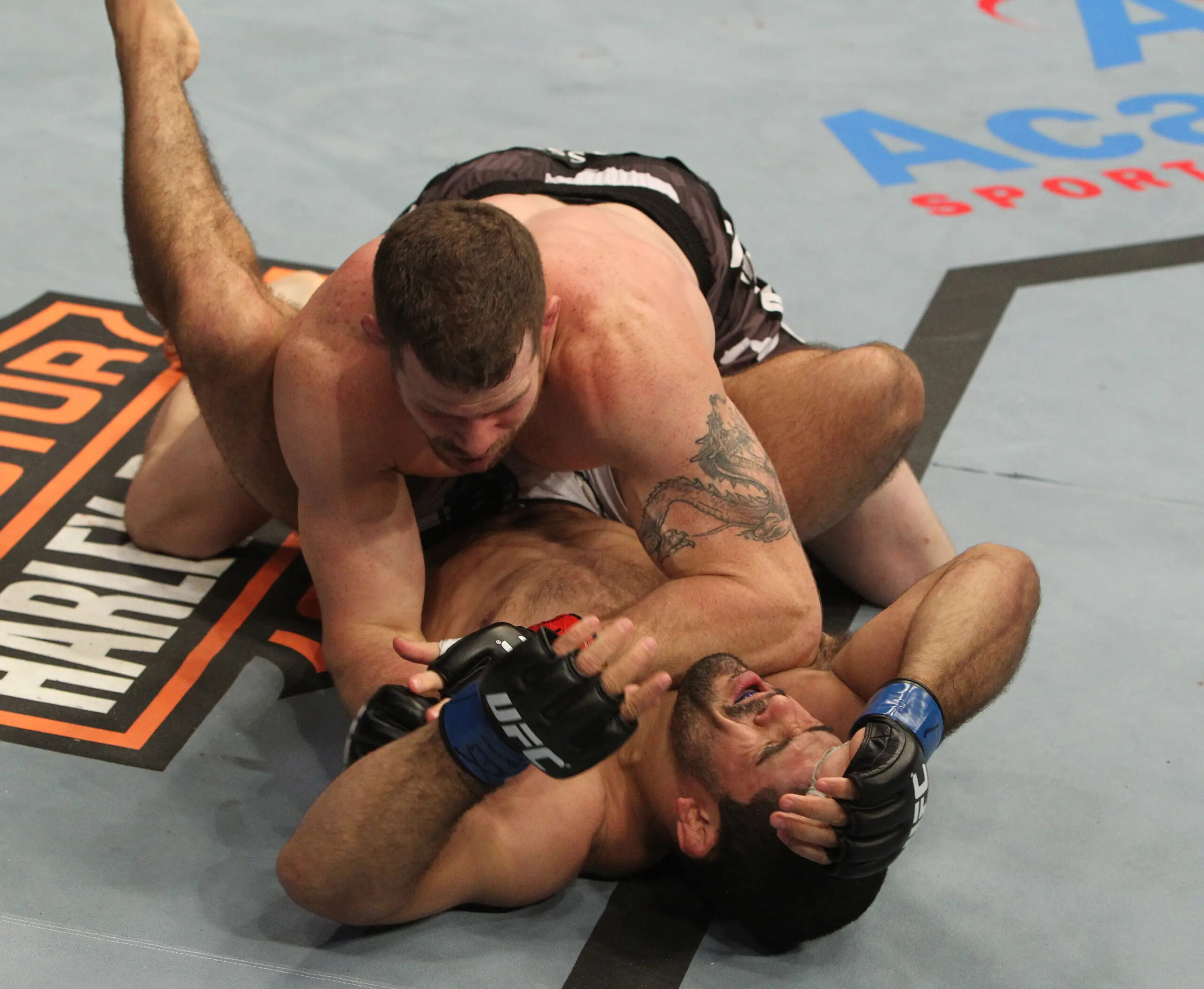 AUSTIN - SEPTEMBER 15: Nate Marquardt (top) defeats Rousimar Palhares by TKO at UFC Fight Night at the Frank Irwin Center on September 15, 2010 in Austin, Texas. (Photo by Josh Hedges/Zuffa LLC/Zuffa LLC via Getty Images)