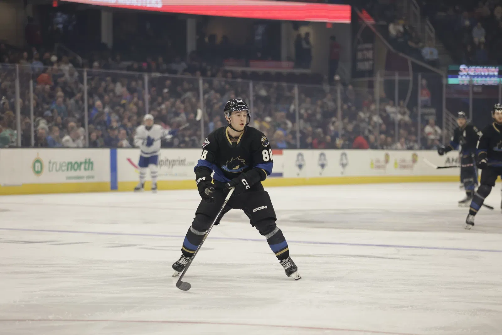Jordan Dumais Invited To 2025 NHLPA Rookie Showcase