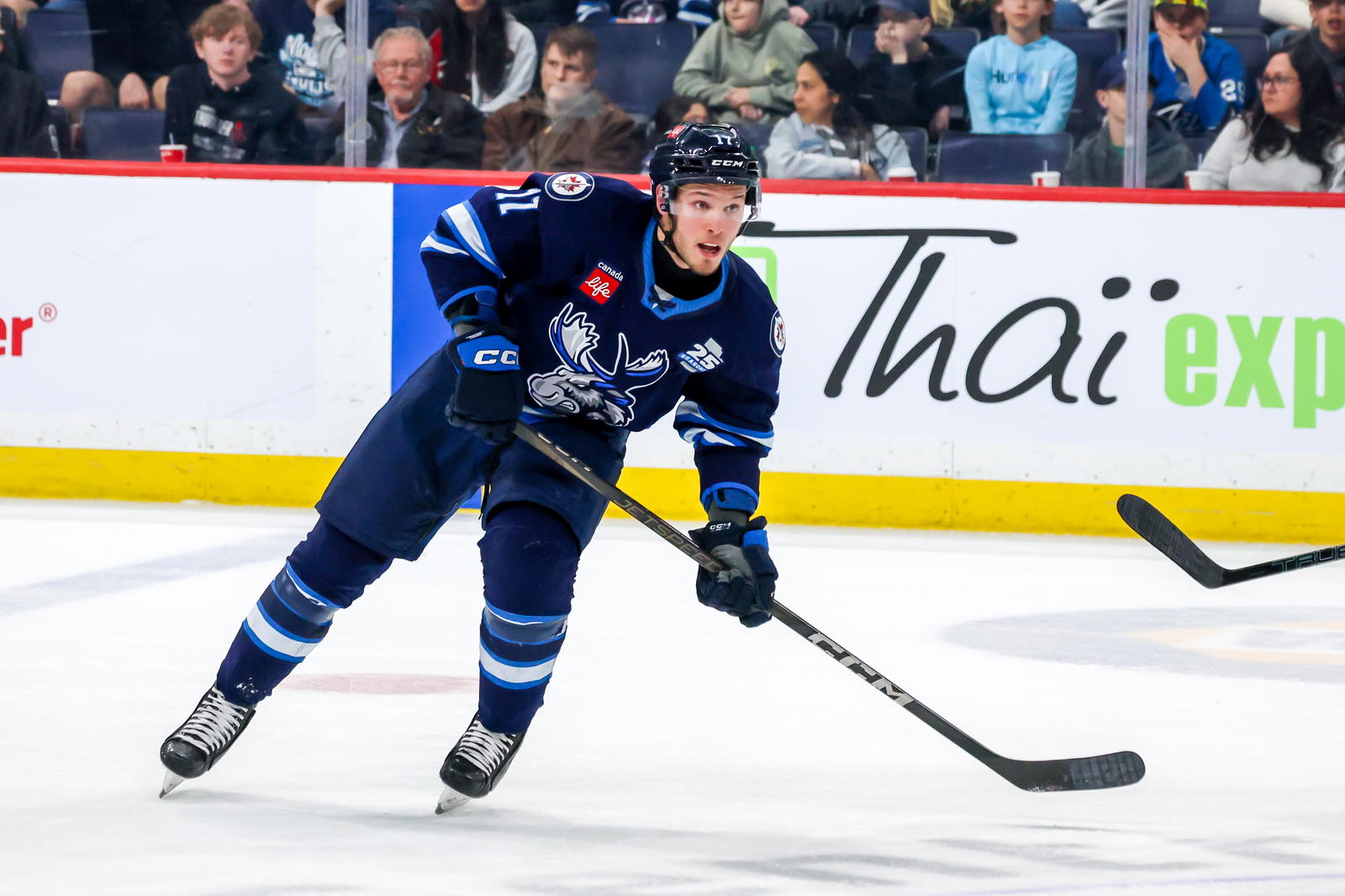 Jets Prospect Showcase Takeaways: Zhilkin, DiVincentiis Within Reach Of NHL Jump