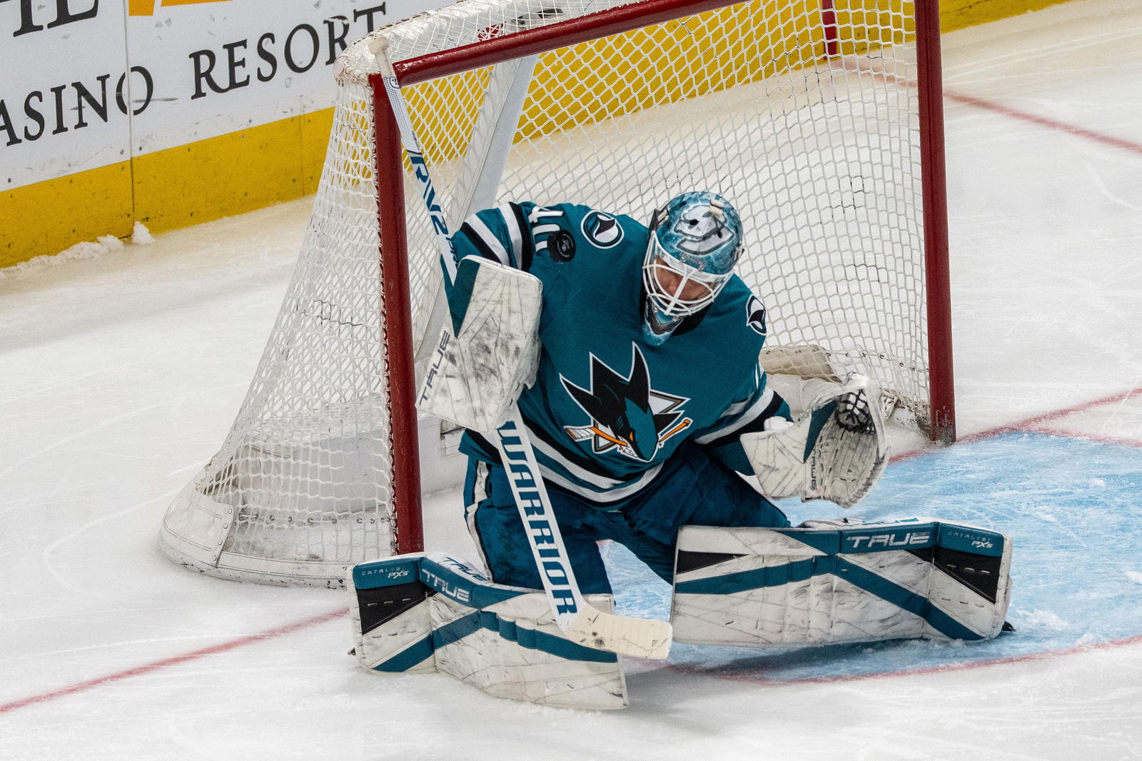 Former Sharks Goaltender Signs With the Buffalo Sabres