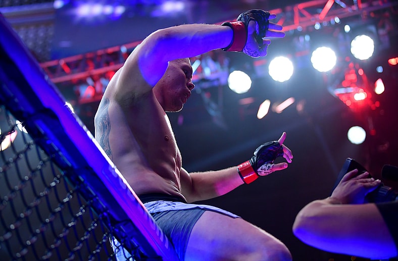 ufc light heavyweight rankings