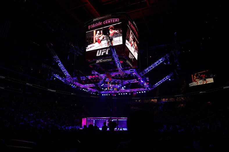 ufc light heavyweight rankings