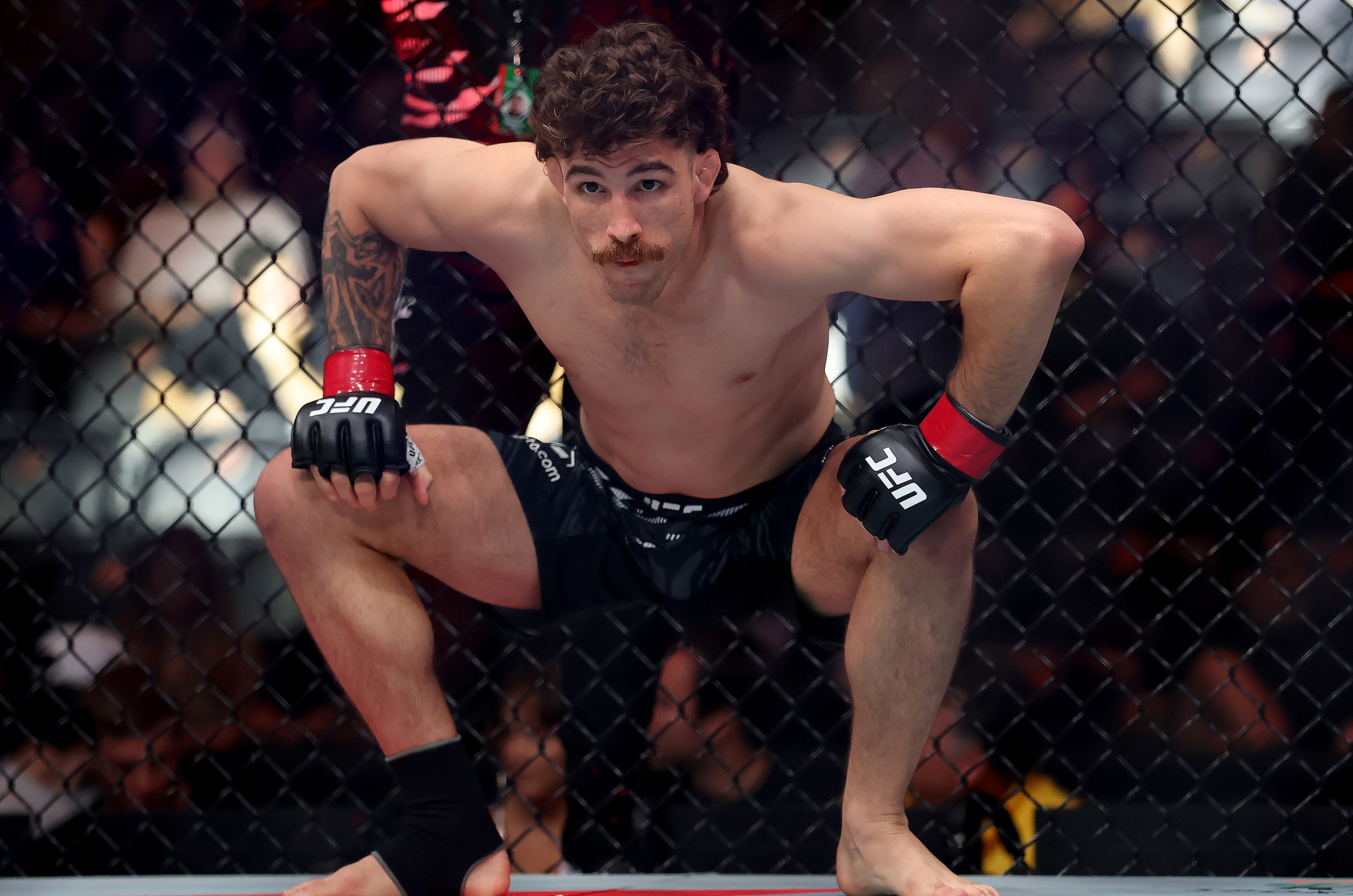 Quillan Salkilld will look to go 3-0 in UFC at UFC 321.